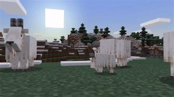 What do minecraft goats eat