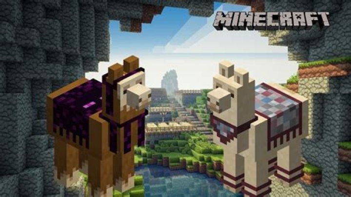 What do minecraft llamas eat