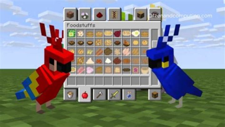 What do minecraft parrots eat