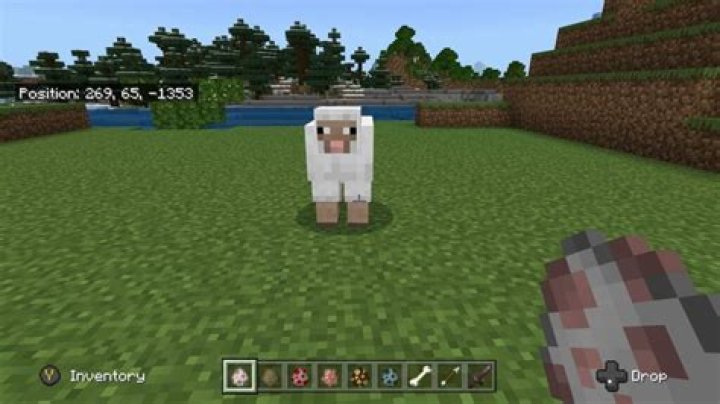 What do minecraft sheep eat
