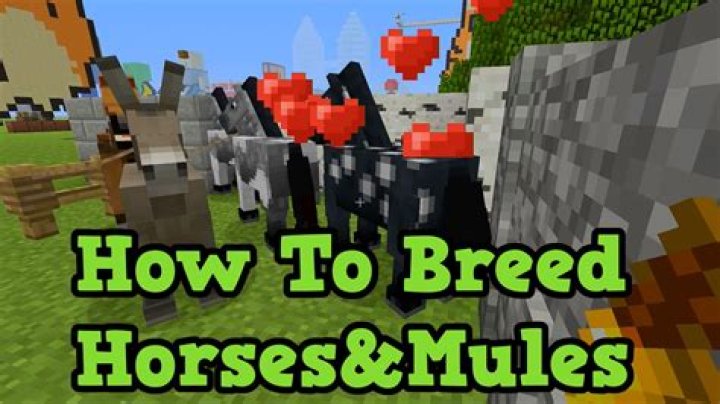 What do mules eat in minecraft