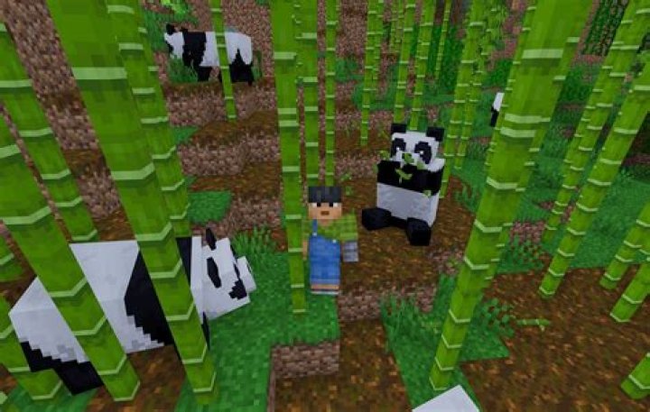 What do pandas do in minecraft