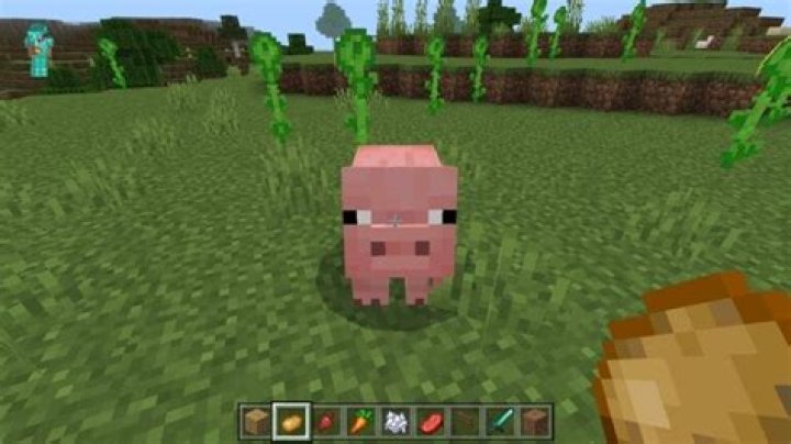 What do pigs eat minecraft