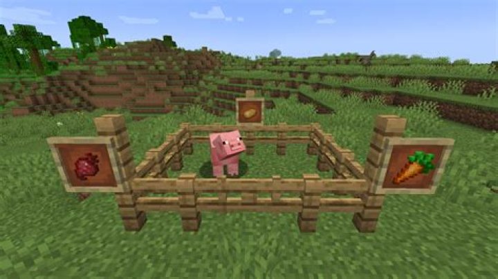 What do pigs like to eat in minecraft
