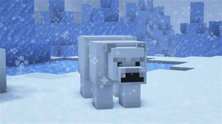 What do polar bears eat minecraft