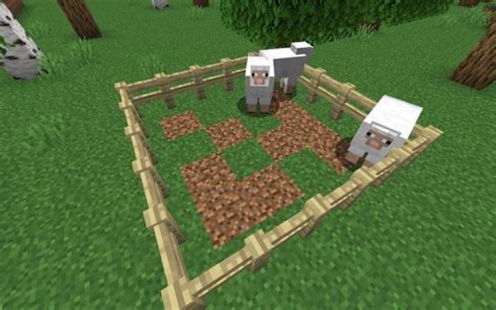 What do sheep eat minecraft
