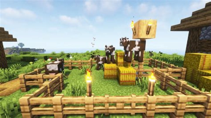 What do sheeps in minecraft eat