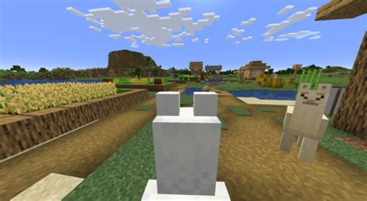 What do you feed a llama in minecraft