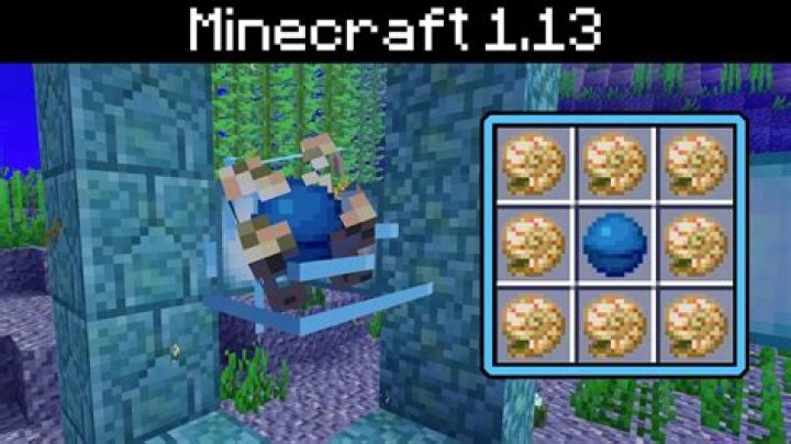 What does a nautilus shell do in minecraft