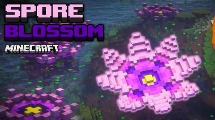 What does a spore blossom do in minecraft