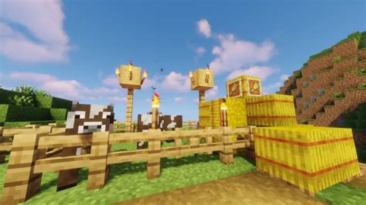 What does chicken eat in minecraft