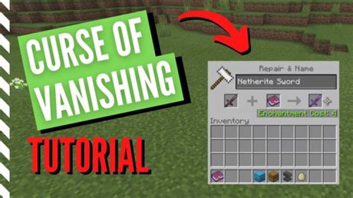 What does curse of vanishing do in minecraft