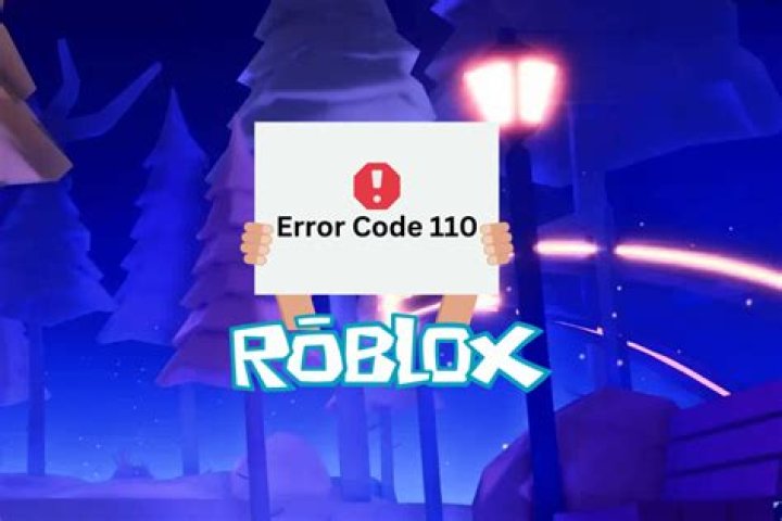 What does error code 110 mean on roblox xbox