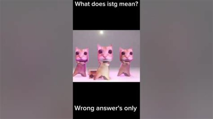 What does istg mean in roblox