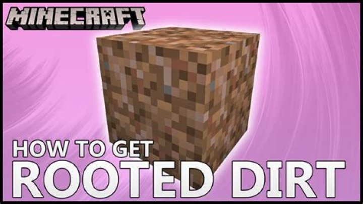 What does rooted dirt do minecraft