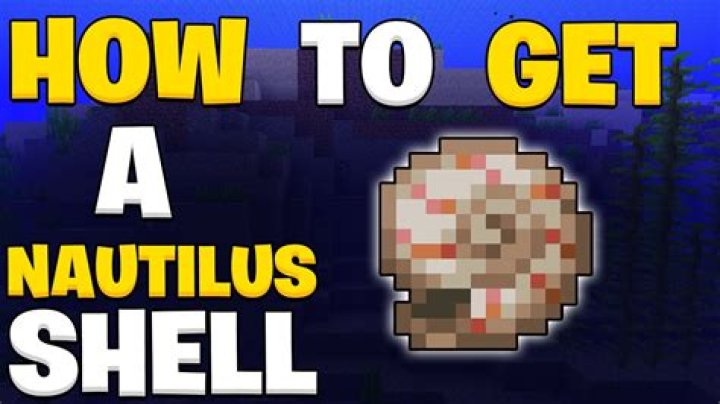 What does the nautilus shell do in minecraft