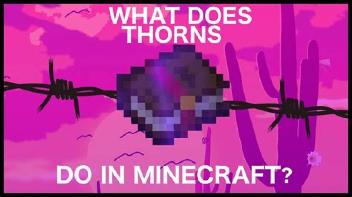 What does thorns do in minecraft