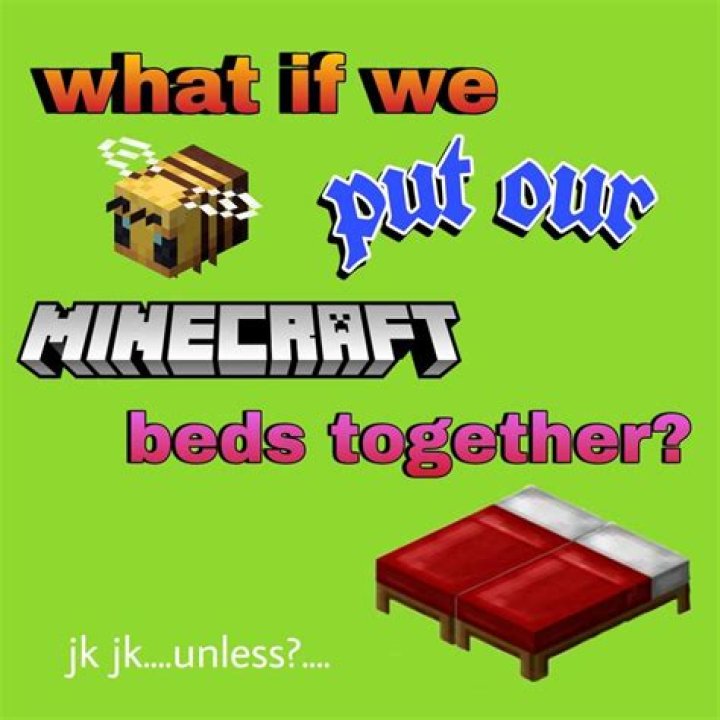 What if we put our minecraft beds together