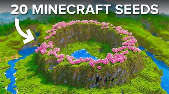 What is a minecraft seed