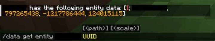What is a uuid minecraft