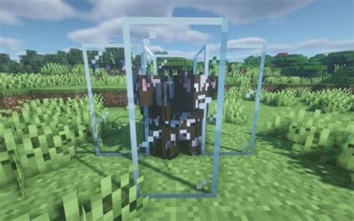 What is entity cramming in minecraft