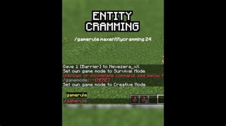 What is entity cramming minecraft