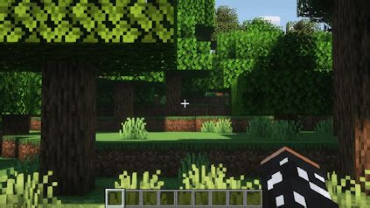 What is fov in minecraft