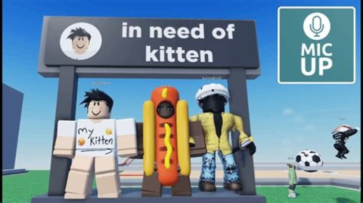 What is mic up in roblox