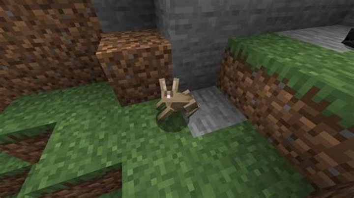 What is rabbit hide used for in minecraft