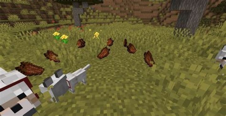 What is rotten flesh used for in minecraft