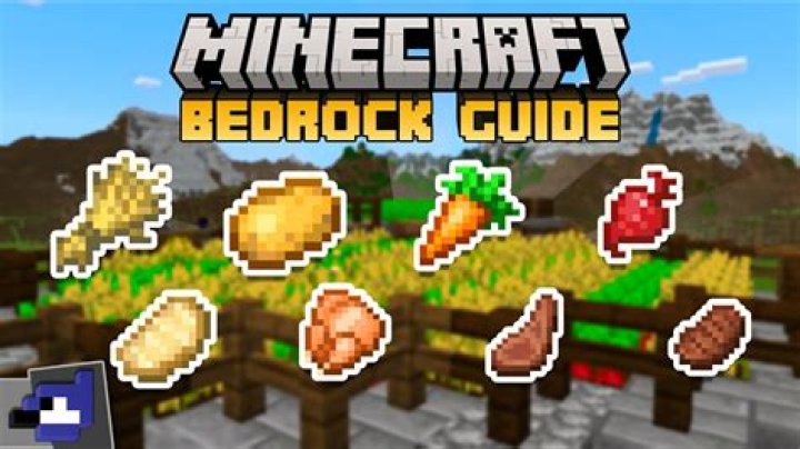 What is the best food in minecraft bedrock