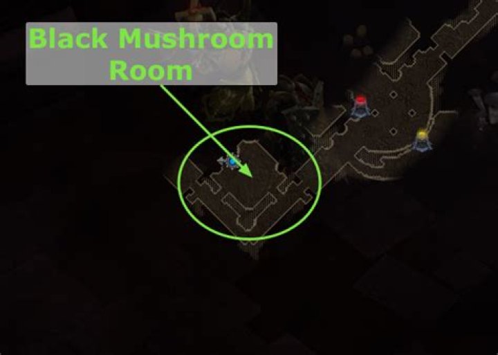What is the black mushroom for in diablo 3