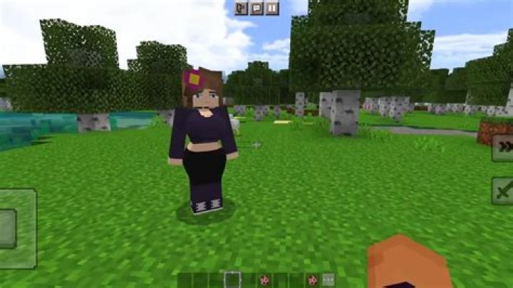 What is the minecraft jenny mod