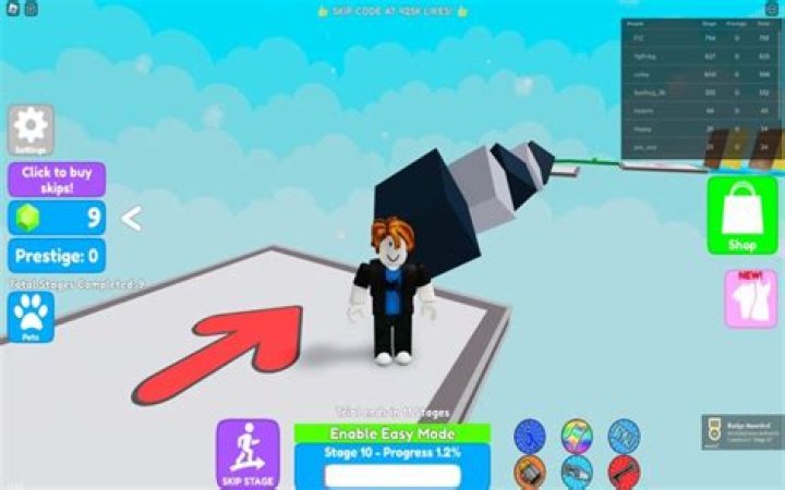 What is the official programming language in roblox