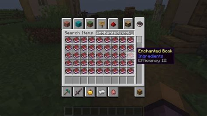What is the rarest enchantment book in minecraft