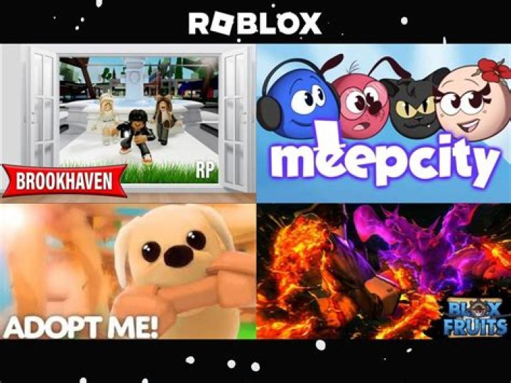 What is the roblox metaverse
