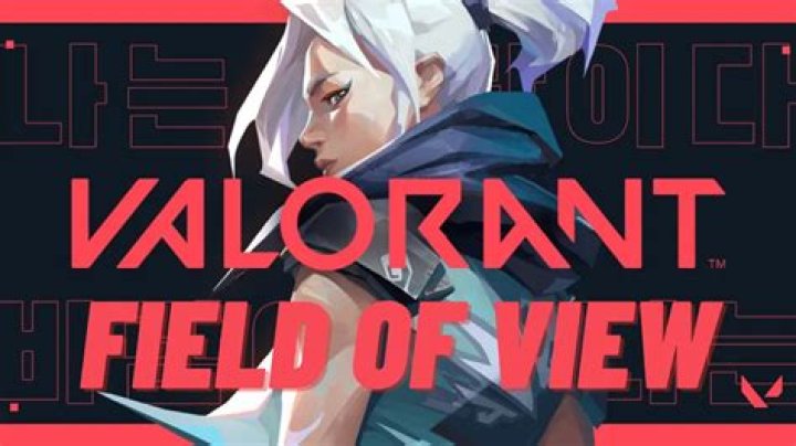 What is valorant fov