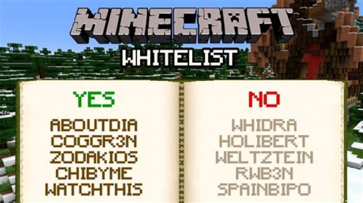 What is whitelist in minecraft
