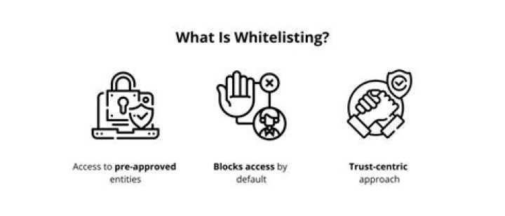 What is whitelisting in minecraft