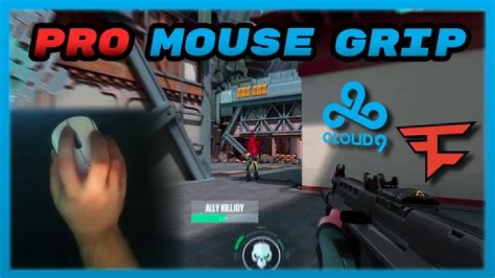 What mouse do valorant pros use