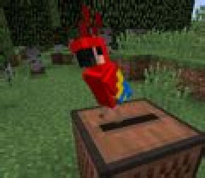 What song do parrots dance to in minecraft