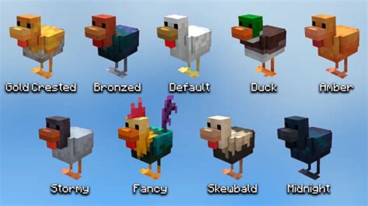 What to feed chickens minecraft