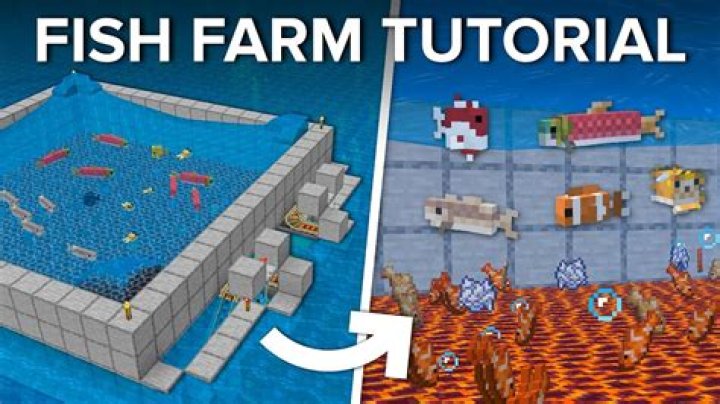 What to feed fish in minecraft