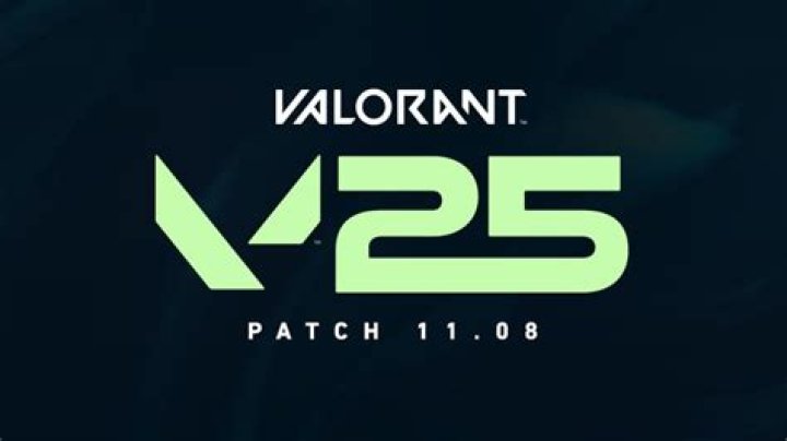 When does valorant patch 2.06 come out
