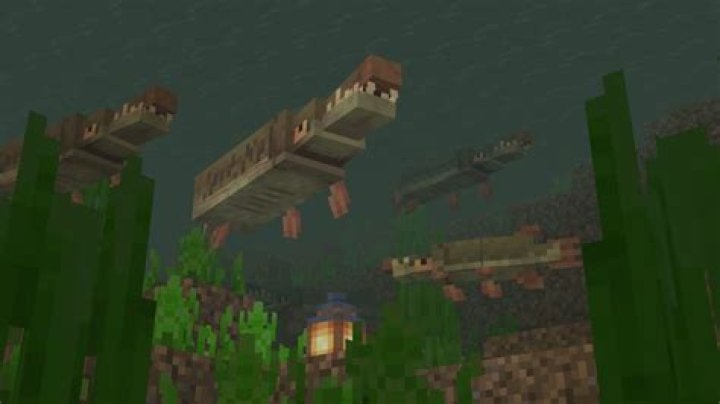 When is dawn in minecraft