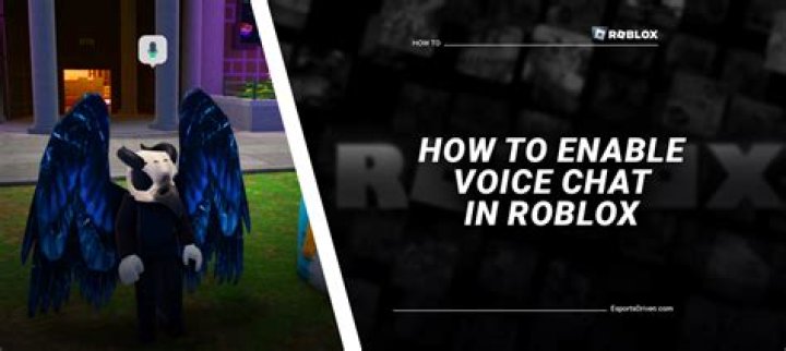 When is the voice chat coming to roblox