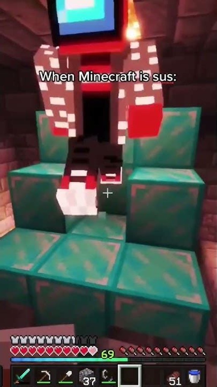 When minecraft is sus