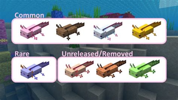 Where are axolotls in minecraft
