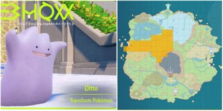 Where can you find a ditto in pokemon go