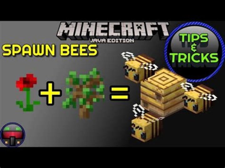 Where do bees spawn minecraft
